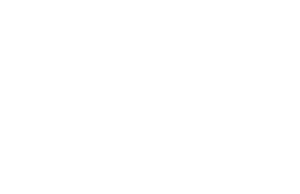 logo dark scheme